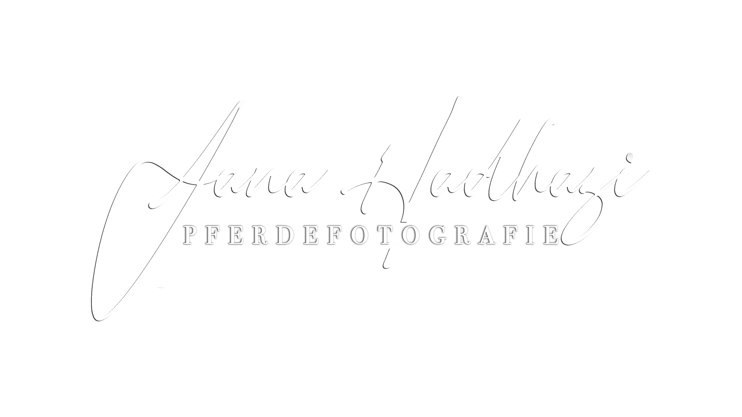 Jana Hadhazi Pferdefotografie